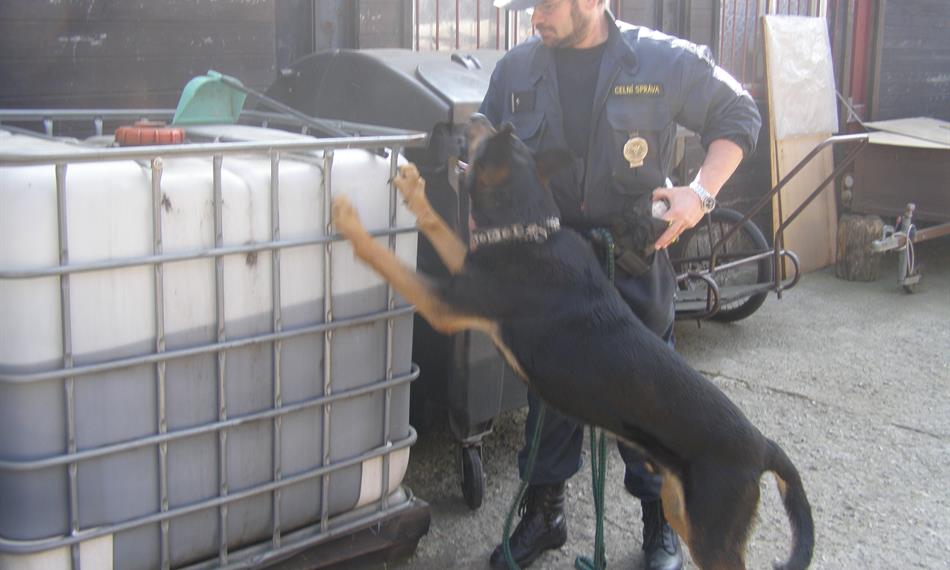 2014-4-10-859Pejsek hlásí.JPG